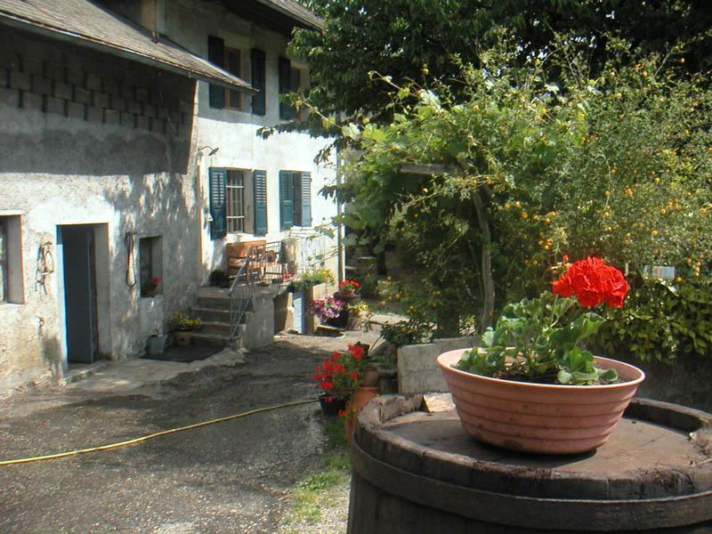 Domaine De La Safraniere - Chambre D'Hote Saint-Leger  ภายนอก รูปภาพ