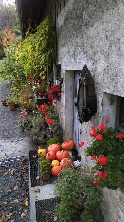 Domaine De La Safraniere - Chambre D'Hote Saint-Leger  ภายนอก รูปภาพ